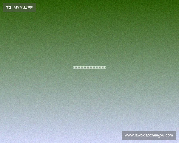 指尖电子竞技战队在四川—指尖电子竞技队长是谁